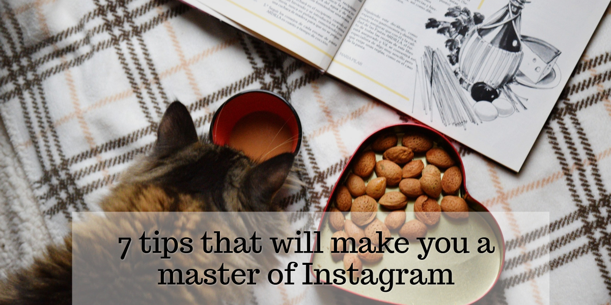 7 tips that will make you a master of Instagram 7 tips that will make you a master of Instagram