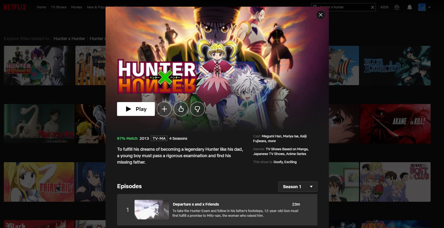 Can You Watch Hunter X Hunter on Netflix?