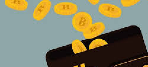 Guidelines for making a Bitcoin wallet app Guidelines for making a Bitcoin wallet app