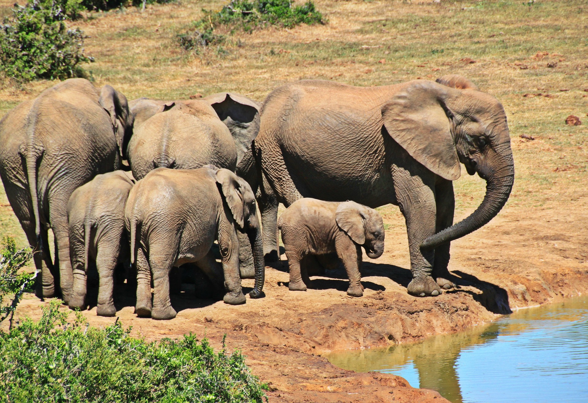 Top 5 Wildlife Destinations in Africa Top 5 Wildlife Destinations in Africa